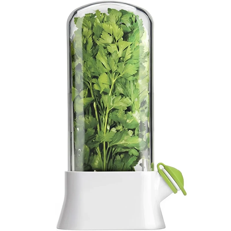 Pot de Conservation Herbes Fraîches 500ml pour Réfrigérateur
