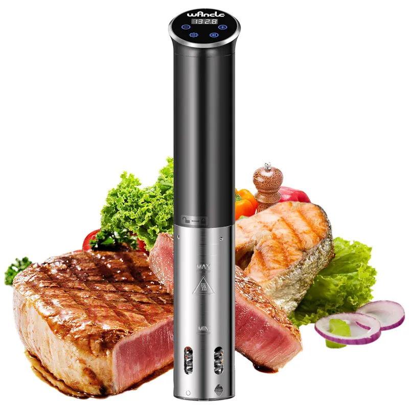 Cuiseur Sous Vide à Immersion 1100W IPX7 Écran Tactile Précision ±0,1 °C