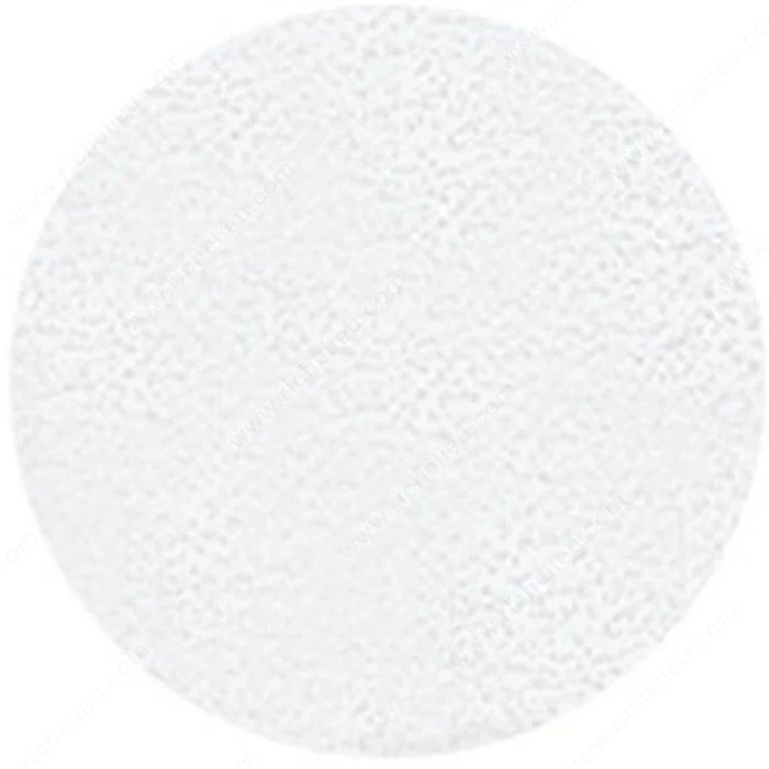 Cache-vis en PVC de 25mm (1 po) - 400 unités