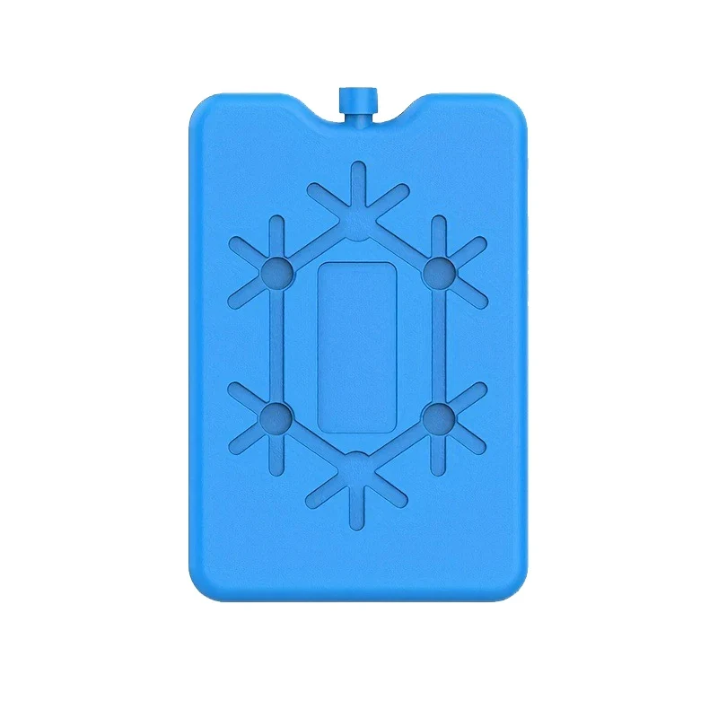 Pack de Glace Portable Réutilisable