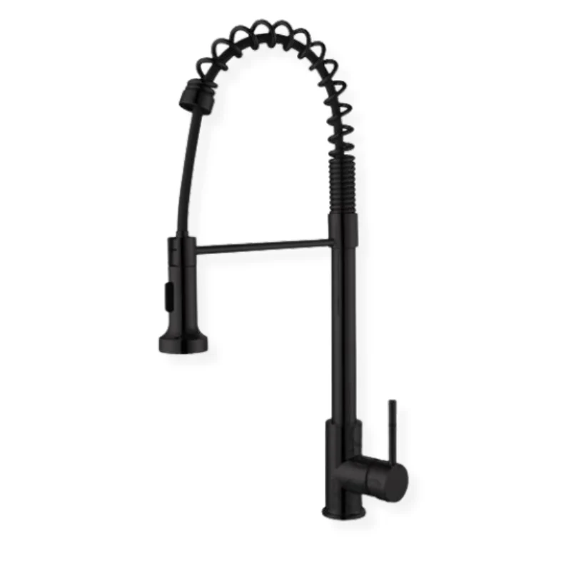 Robinet de cuisine Curillo