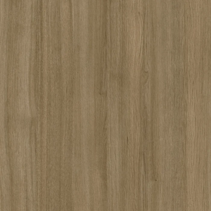 Bande de chant - Fashionista L582