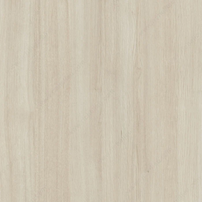 Bande de chant - Esprit Libre L580